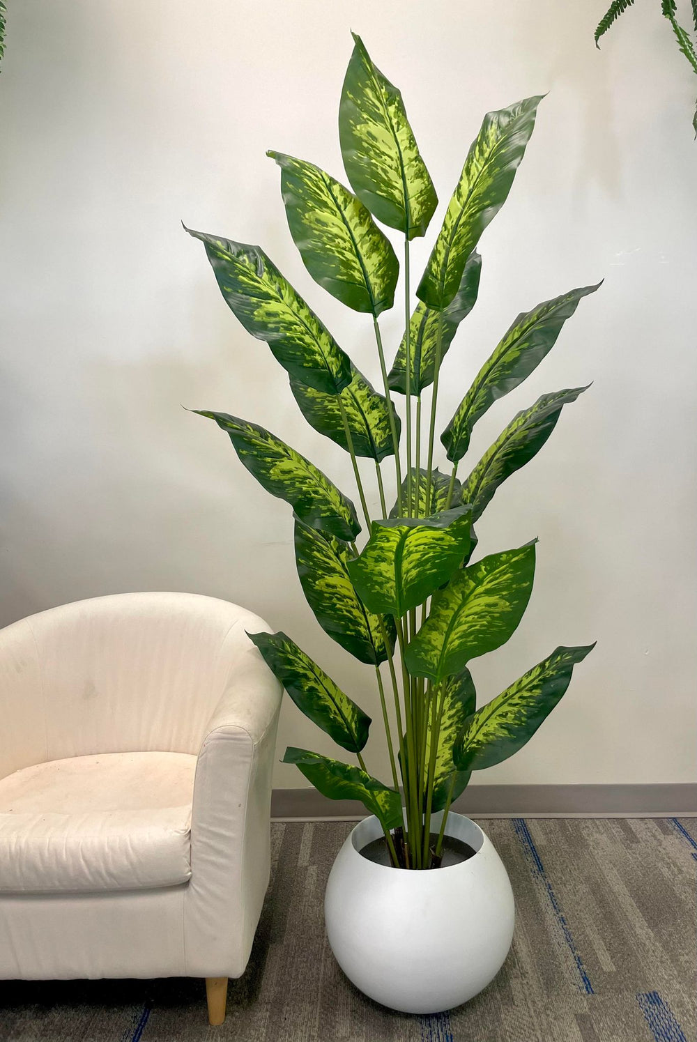 A tall, lush artificial plant with broad green leaves featuring yellow variegation is elegantly placed in a sleek, round white pot. Positioned next to a cozy white armchair, this setup adds a fresh and vibrant touch to the room's decor.