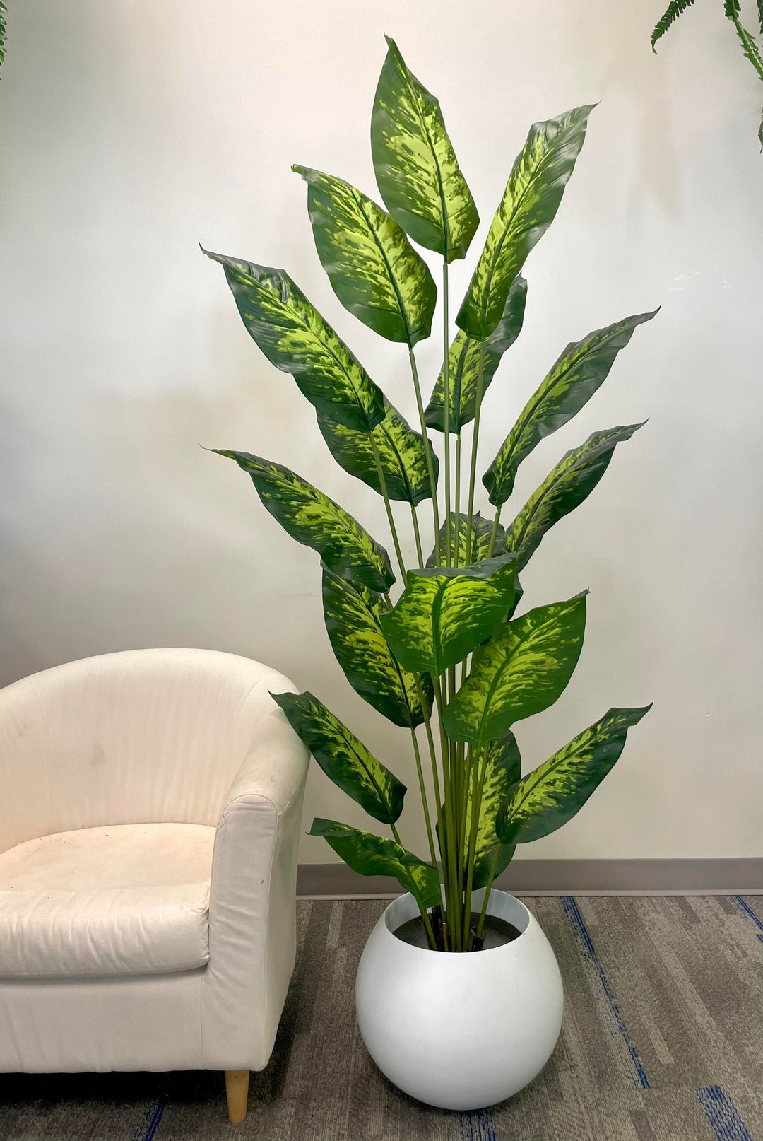 A tall, lush artificial plant with broad green leaves featuring yellow variegation is elegantly placed in a sleek, round white pot. Positioned next to a cozy white armchair, this setup adds a fresh and vibrant touch to the room's decor.