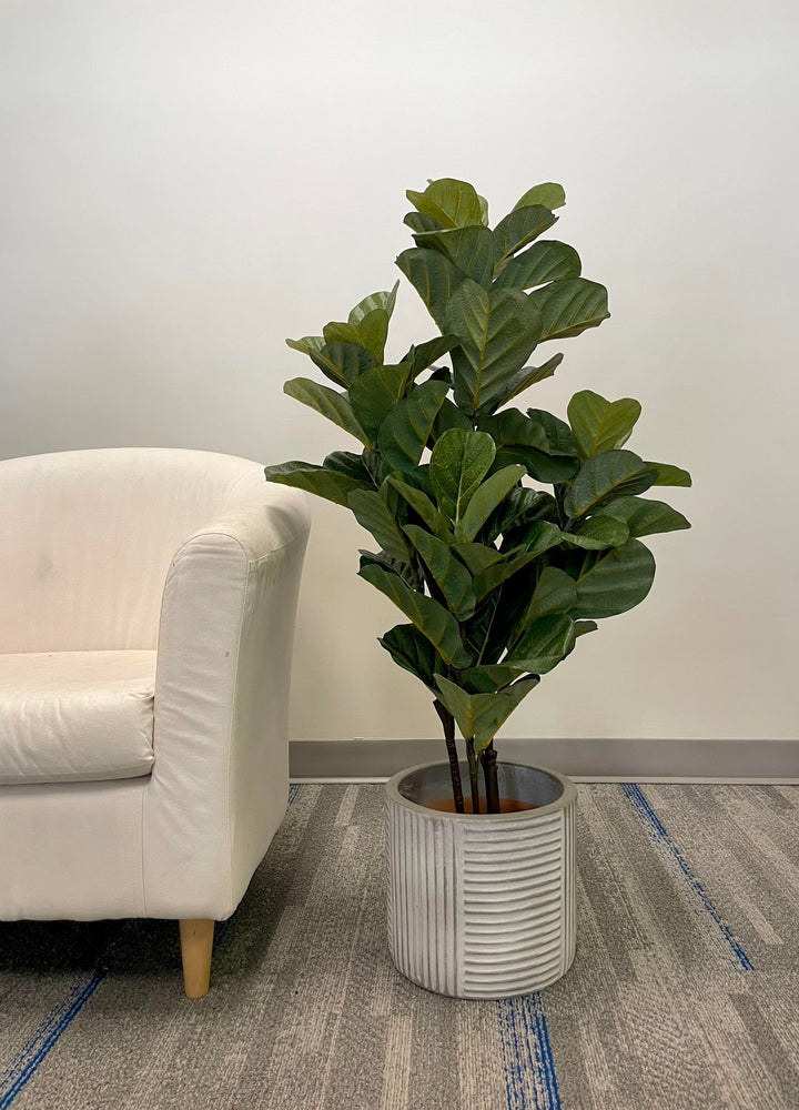 Artificial Fiddle Tree - 4'