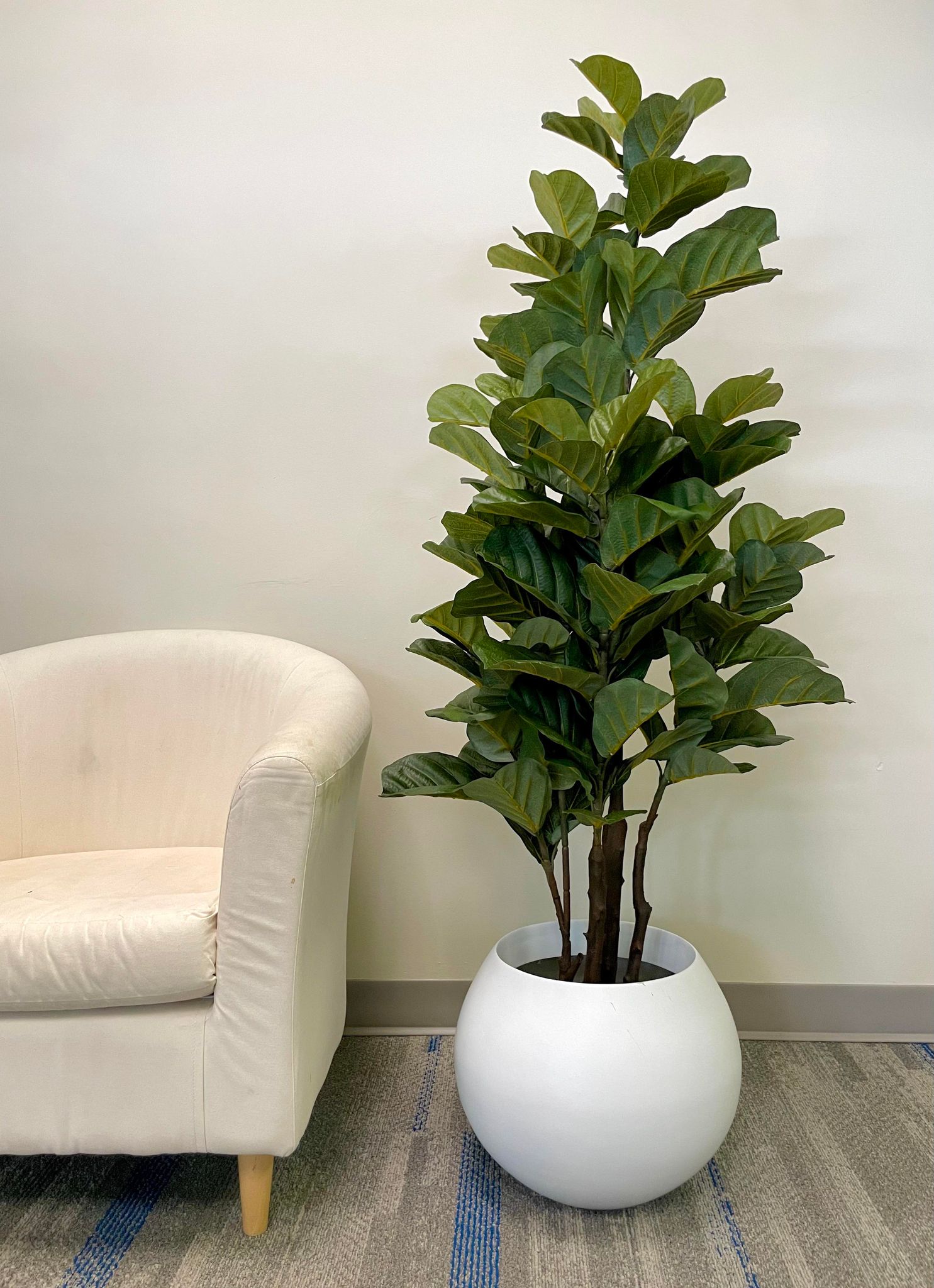 Artificial Fiddle Tree – 5' | Modern Indoor Greenery Décor – WAYSAVING