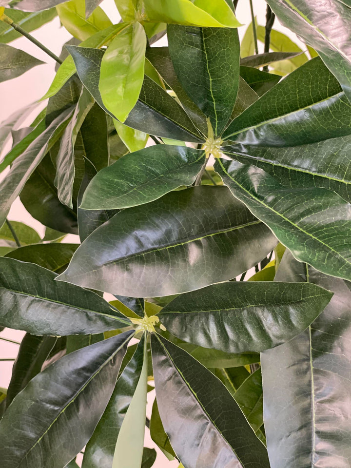 Close-up of lush green leaves of an artificial money tree, showcasing the detailed texture and vibrant color, perfect for indoor decor