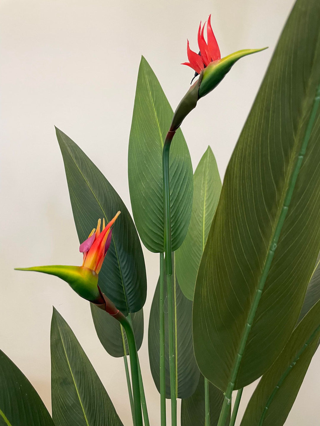 Close-up view of an artificial bird of paradise plant, featuring a striking red and blue flower set against large, green leaves. The lifelike texture and vibrant colors of the plant create a realistic and exotic tropical appearance, perfect for enhancing indoor decor