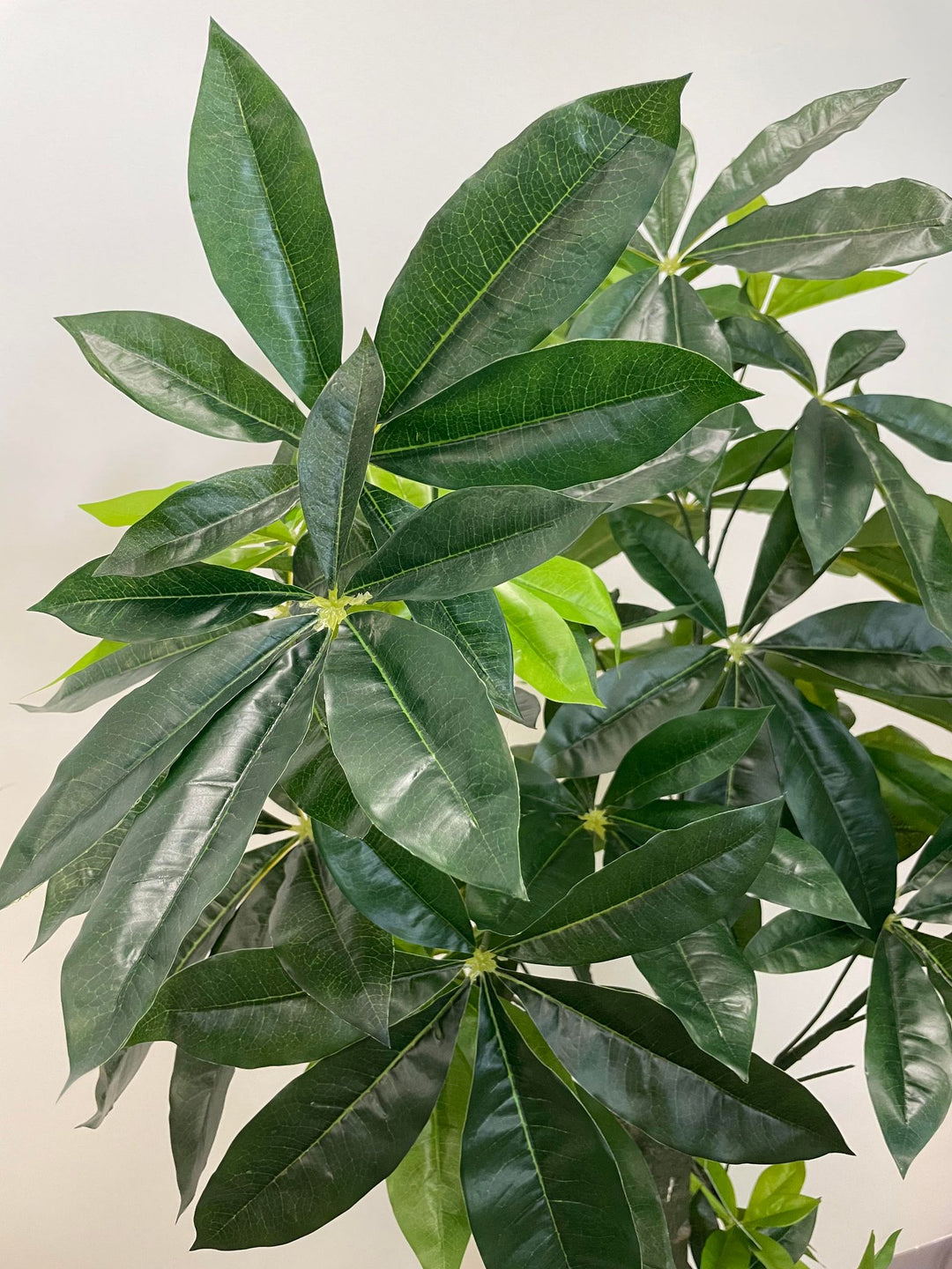 Close-up of lush green leaves of an artificial money tree, showcasing the detailed texture and vibrant color, perfect for indoor decor