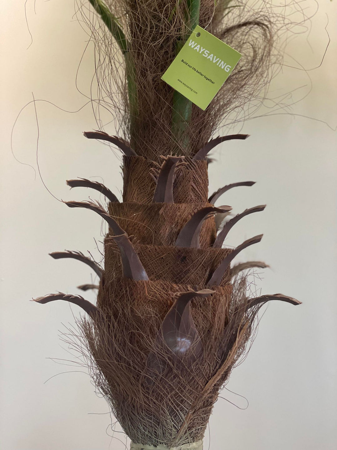 Close-up of an artificial palm tree trunk, featuring detailed brown fibers and a label from Waysaving with the tagline 'Build our life better together.