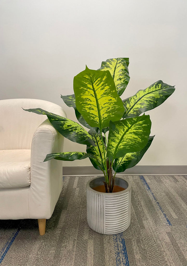 The image shows a potted plant with large, vibrant green leaves with dark green patterns. The plant is placed in a gray ribbed pot, positioned next to a light-colored armchair on a carpeted floor. The setting gives off a modern and calming vibe, perfect for indoor decor.