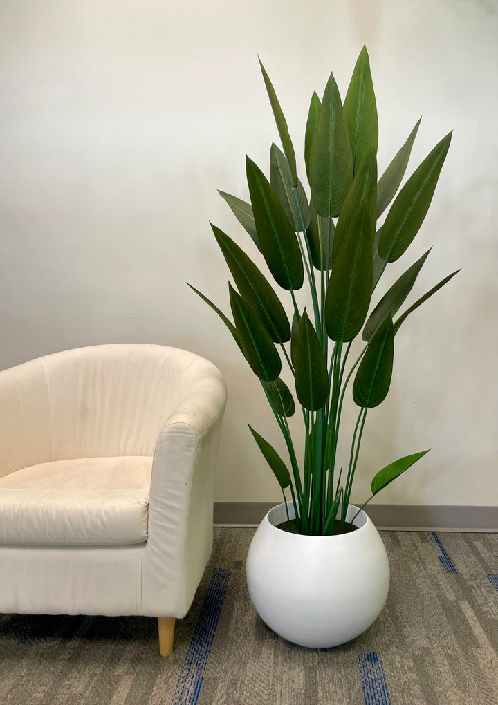 An artificial bird of paradise plant with tall green leaves in a round white pot. The plant is placed next to a white, cushioned chair, adding a natural touch to the room's modern decor. The clean and minimalist setting emphasizes the plant's vibrant and realistic appearance