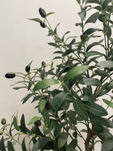 Charger l&#39;image dans la galerie, Artificial Olive Tree - 5&#39;
