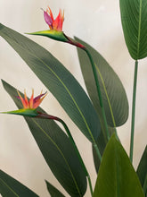 Load image into Gallery viewer, Artificial Bird of Paradise-6&#39;(180cm)
