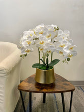 Charger l&#39;image dans la galerie, Real touch artificial orchid Arrangement

