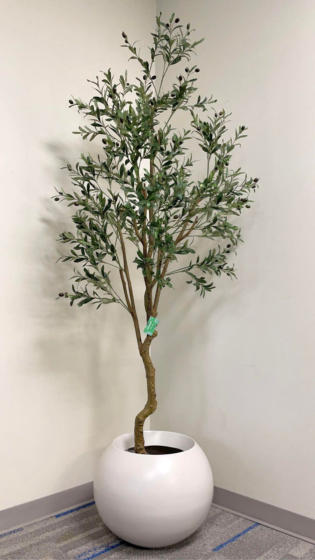 A tall artificial olive tree with lush green leaves and black olives stands in a modern, round white planter in a bright, sunlit corner of a room. The room features large windows with a view of an adjacent building, adding a natural touch to the contemporary indoor space.