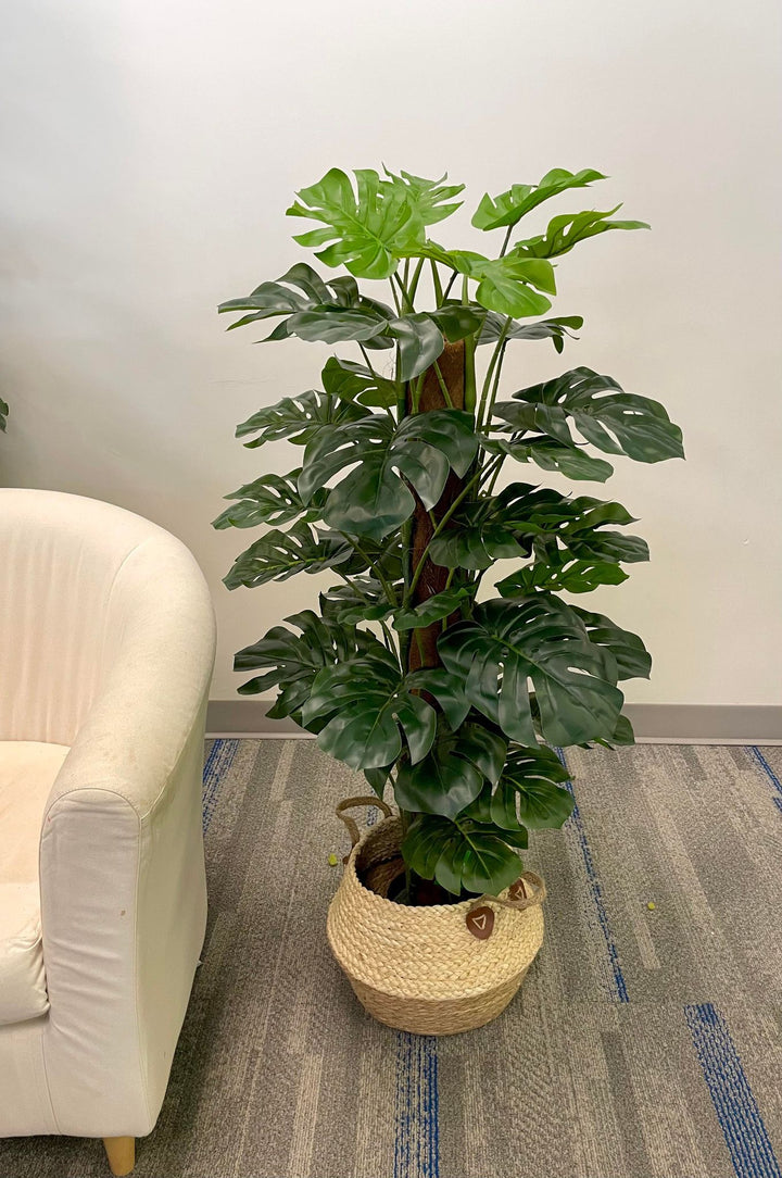 Artificial Monstera plant in a woven basket next to a beige armchair. What are the best tips for maintaining an artificial Monstera plant for home décor?