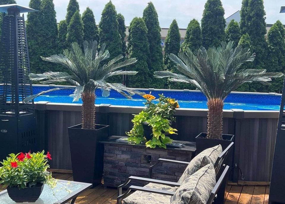 Artificial palm trees in sleek black planters, creating a tropical vibe for poolside patios and outdoor lounging areas.