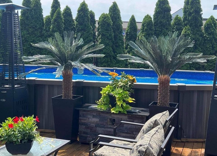 Artificial palm trees in sleek black planters, creating a tropical vibe for poolside patios and outdoor lounging areas.