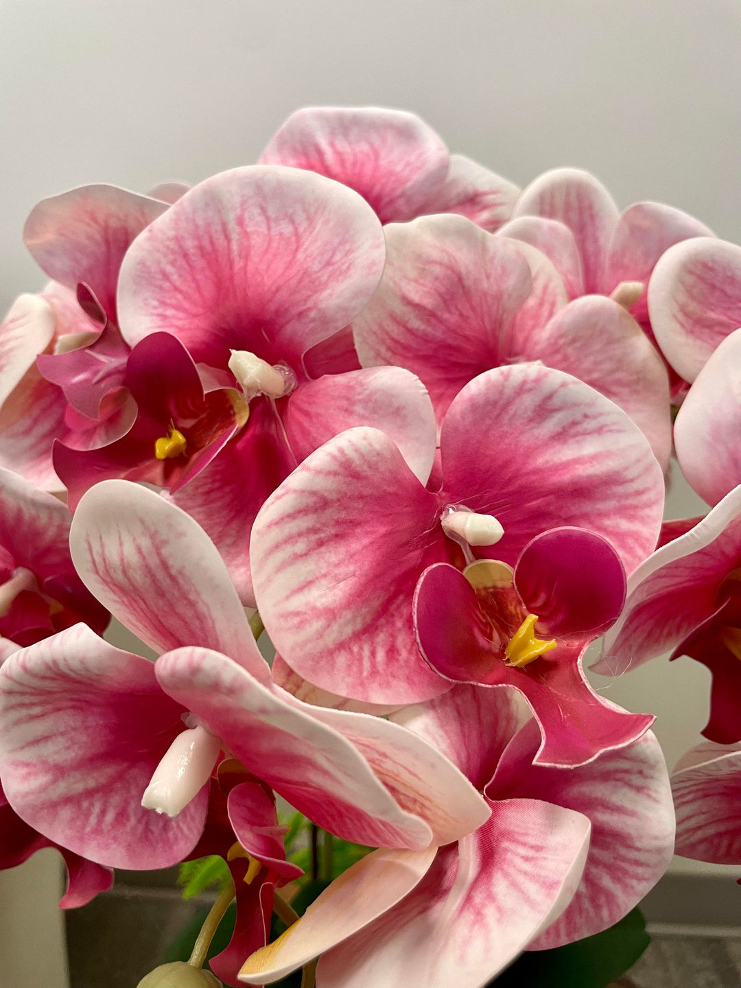 Pink Orchid (silver vase)