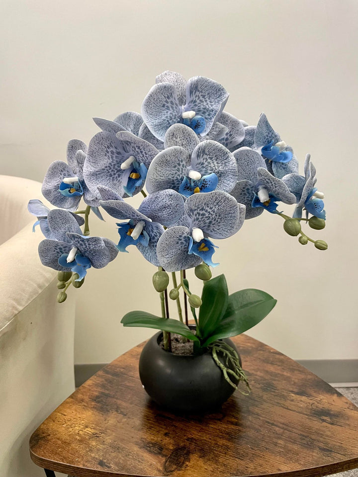 Real touch artificial orchid Arrangement
