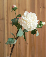 Charger l&#39;image dans la galerie, Real touch Artificial flower stem - White Peony
