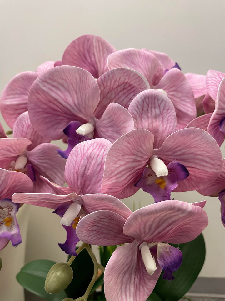 Real touch artificial orchid Arrangement
