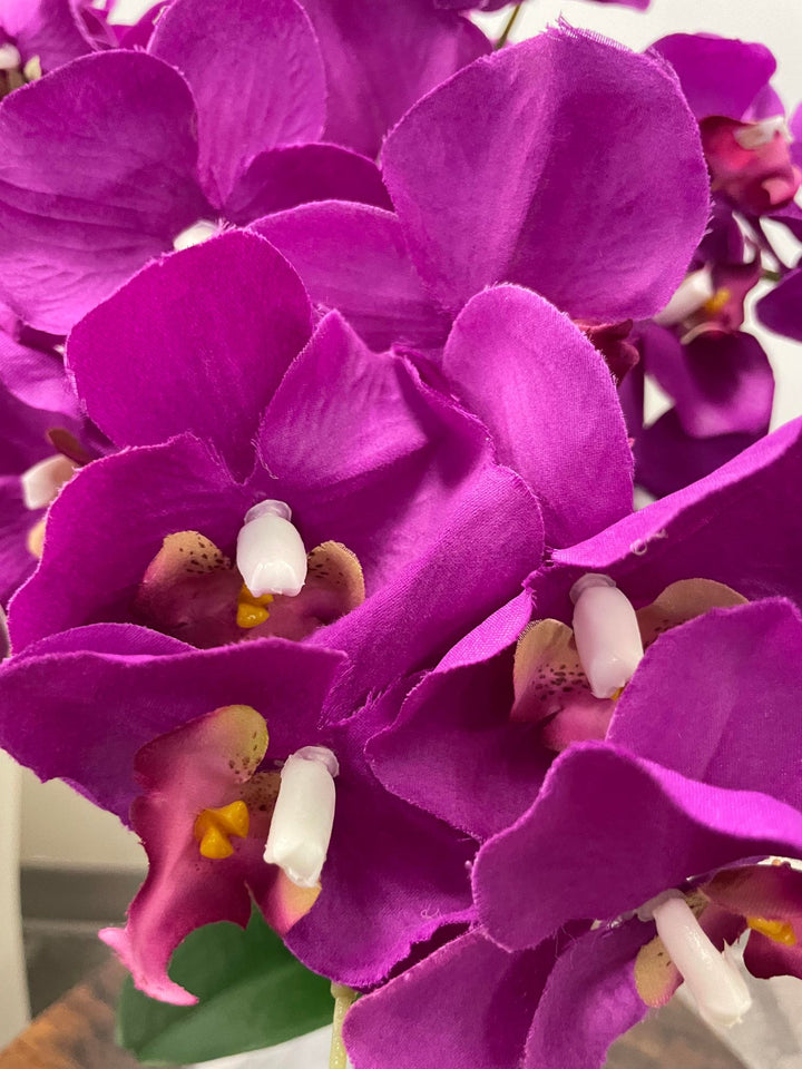 A close-up view of delicate purple orchid flowers with soft petals and light yellow centers. The image captures the intricate details of the blooms, showcasing their natural beauty and elegance against a neutral background.