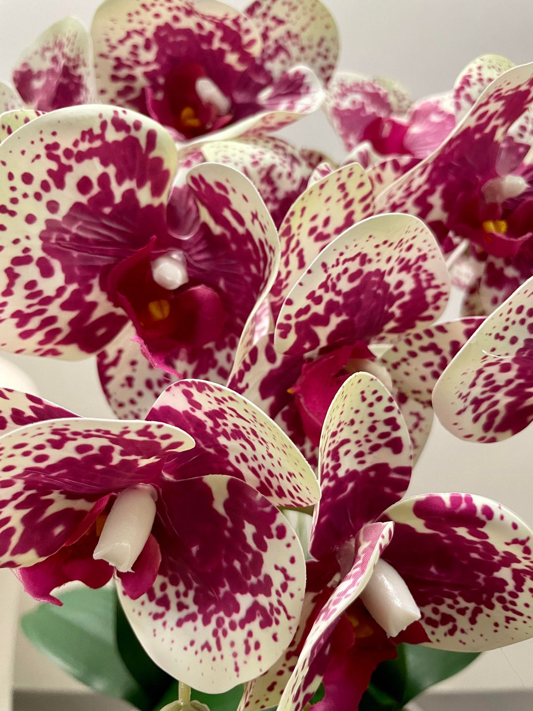 Close-up of vibrant artificial orchid flowers in white with deep pink spots, showcasing intricate petal details. Frequently asked question: How do I care for artificial orchid flowers to keep them looking fresh?