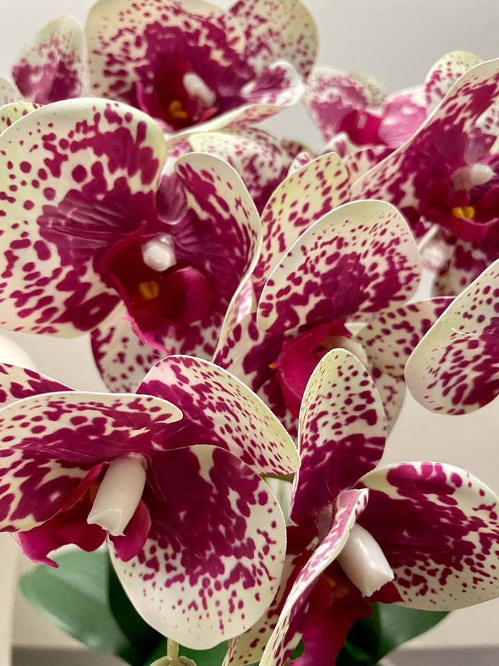 Close-up of vibrant artificial orchid flowers in white with deep pink spots, showcasing intricate petal details. Frequently asked question: How do I care for artificial orchid flowers to keep them looking fresh?