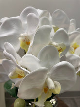 Charger l&#39;image dans la galerie, Orchidée Artificielle - Vase Blanc avec Cercle Noir
