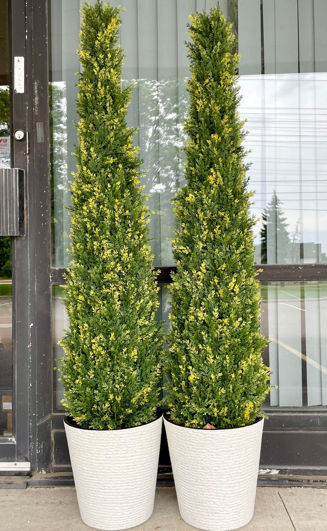 Pair of artificial tall evergreen plants in matching white textured pots, featuring dense green foliage with yellow highlights, ideal for enhancing indoor or outdoor spaces.