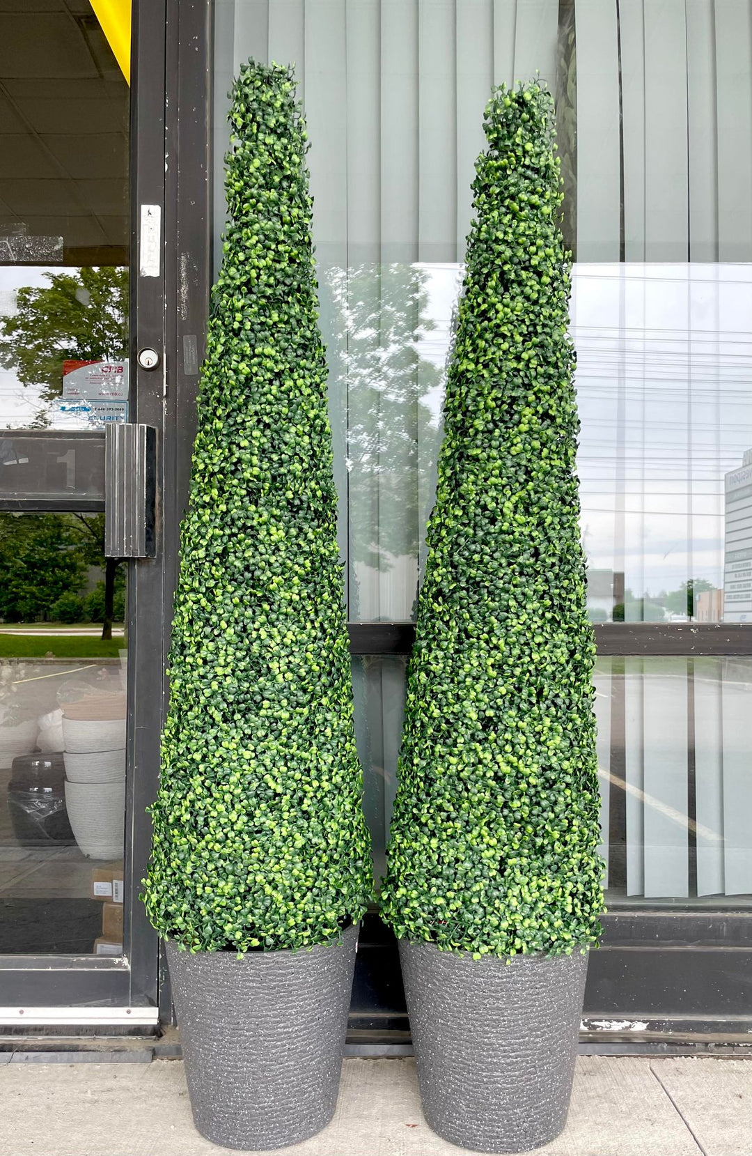 Two tall, cone-shaped artificial topiary trees in gray planters, placed side by side in front of a glass window.