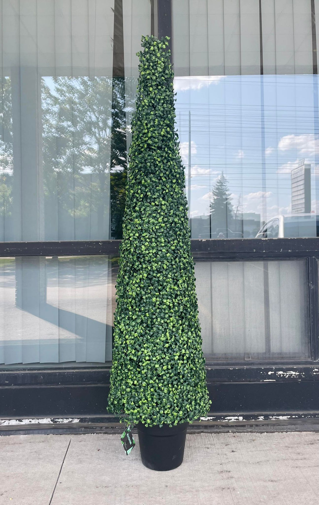 A tall, artificial topiary shaped like a cone stands in a black pot outside a building with large glass windows. The topiary is covered in small, tightly packed green leaves. The reflection of trees and a cloudy sky is visible in the glass behind it.