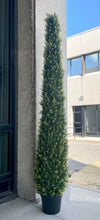 Charger l&#39;image dans la galerie, Artificial Cedar Tree - 6&#39; (UV Resistant)
