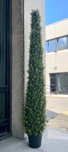 A tall, artificial topiary shaped like a cone stands in a black pot outside a building with large glass windows. The topiary is covered in small, tightly packed green leaves. The reflection of trees and a cloudy sky is visible in the glass behind it.