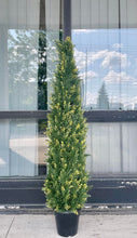 Charger l&#39;image dans la galerie, Artificial Cedar Tree - 4&#39; (UV Resistant)
