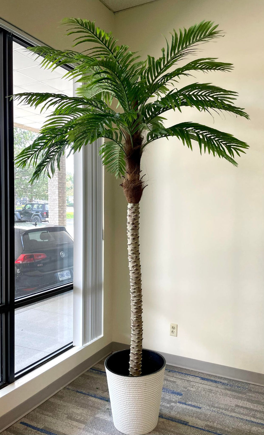  A large artificial palm tree in a stylish office corner by the window, adding a natural touch to a professional setting.