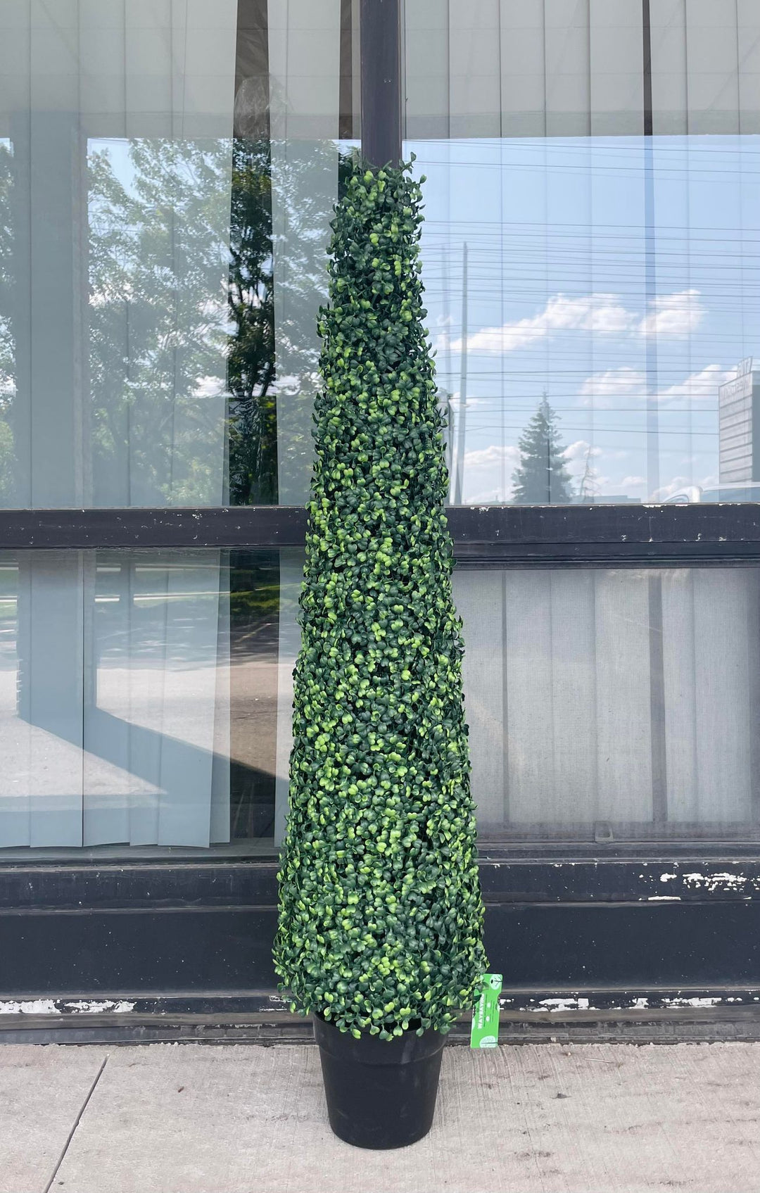 A tall, artificial topiary shaped like a cone stands in a black pot outside a building with large glass windows. The topiary is covered in small, tightly packed green leaves. The reflection of trees and a cloudy sky is visible in the glass behind it.