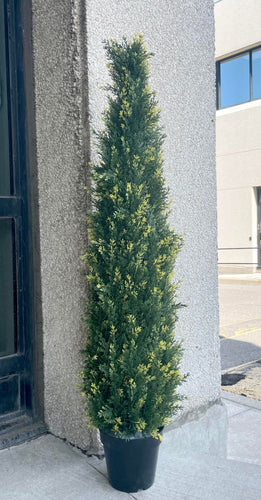 A tall, artificial topiary shaped like a cone stands in a black pot outside a building with large glass windows. The topiary is covered in small, tightly packed green leaves. The reflection of trees and a cloudy sky is visible in the glass behind it.