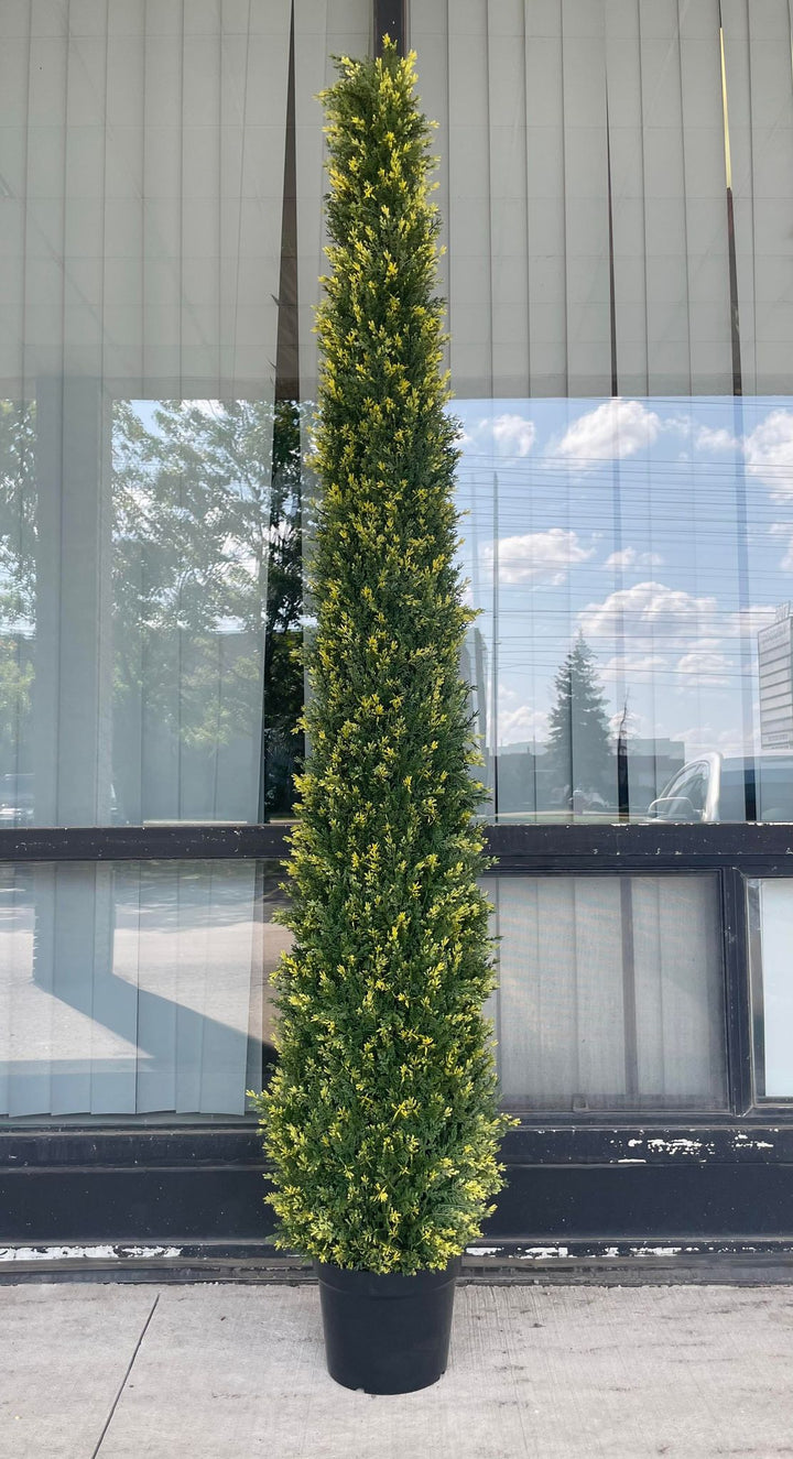A tall, artificial topiary shaped like a cone stands in a black pot outside a building with large glass windows. The topiary is covered in small, tightly packed green leaves. The reflection of trees and a cloudy sky is visible in the glass behind it.