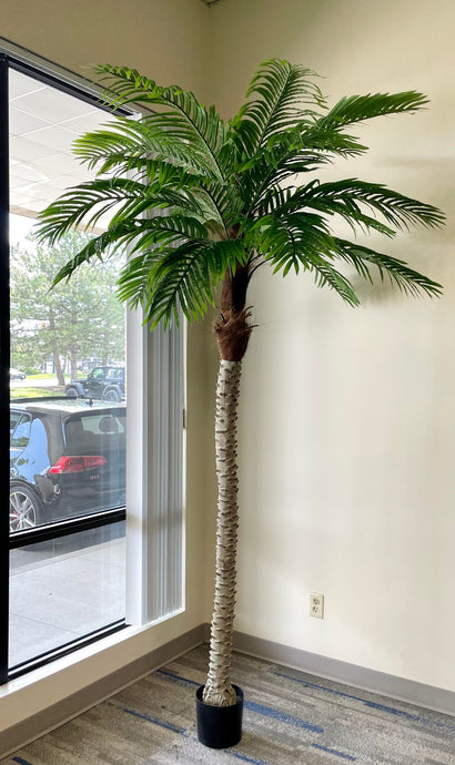  A large artificial palm tree in a stylish office corner by the window, adding a natural touch to a professional setting.