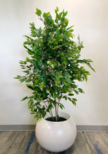 Load image into Gallery viewer, Artificial Ficus tree - 6&#39;
