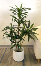 Load image into Gallery viewer, Artificial Yucca tree - 4&#39;
