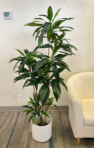 Indoor yucca plant in a sleek white pot, placed next to a cozy white armchair, adding a touch of greenery to the modern office or living room environment.