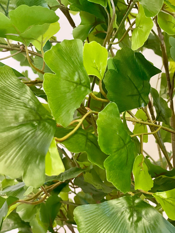 Close-up of artificial ginkgo leaves, displaying their natural texture and varied green shades, designed to mimic real foliage
