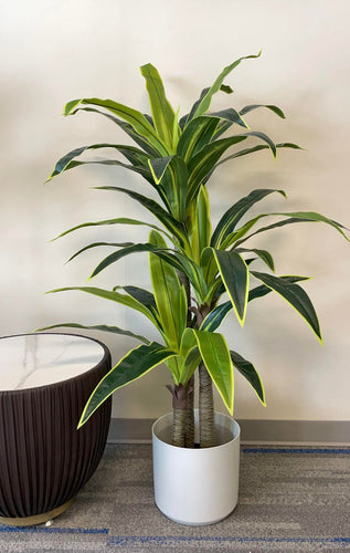 Artificial tall green plant with vibrant yellow-edged leaves in a modern white pot, perfect for adding a touch of nature to any room or office space.