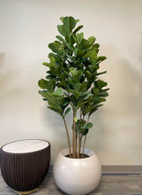 Load image into Gallery viewer, Artificial Fiddle Fig Tree - 6&#39; (180cm)
