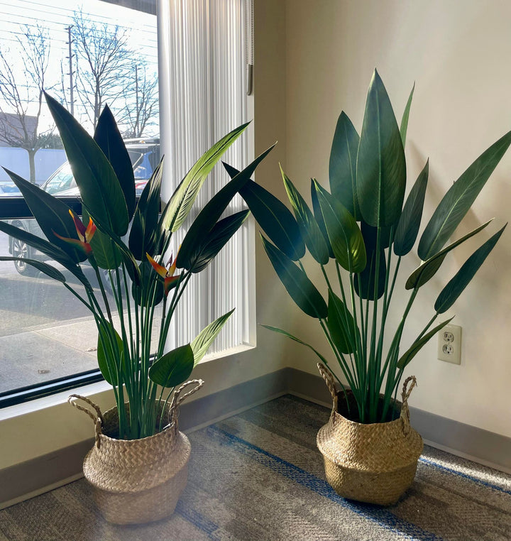 Two artificial bird of paradise plants with tall, green leaves and vibrant orange and red flowers, placed in woven baskets, positioned near a window with natural light streaming in, creating a serene indoor setting.