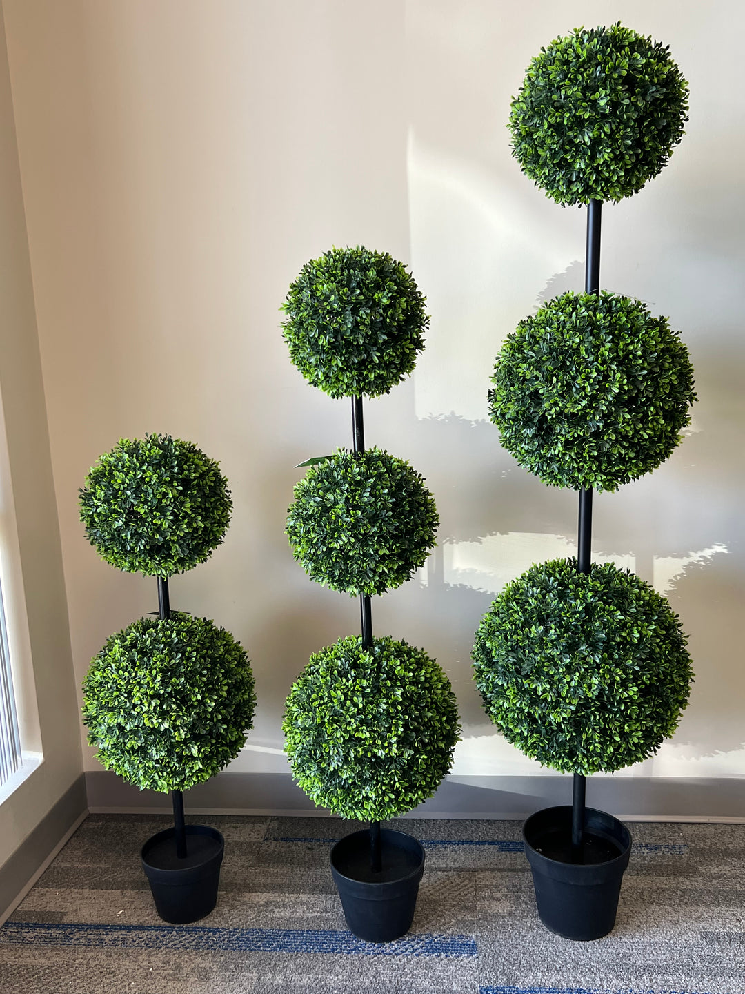 Triple ball topiary collection in black pots, perfect for elegant indoor and outdoor decoration.