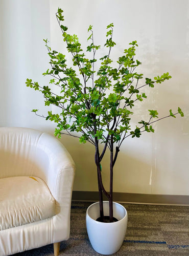 This image shows a vibrant artificial plant with numerous small, bright green leaves, arranged on slender, dark brown stems. The plant is placed in a sleek, white planter and positioned next to a cream-colored armchair, adding a touch of natural freshness to the room's decor. The plant's lively appearance makes it a perfect choice for enhancing indoor spaces with a splash of greenery.