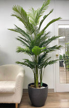 Load image into Gallery viewer, Tall green palm plant placed in a large textured black planter, next to a cream-colored armchair. The plant stands in an office-like room with a mirrored door in the background, reflecting additional plants.
