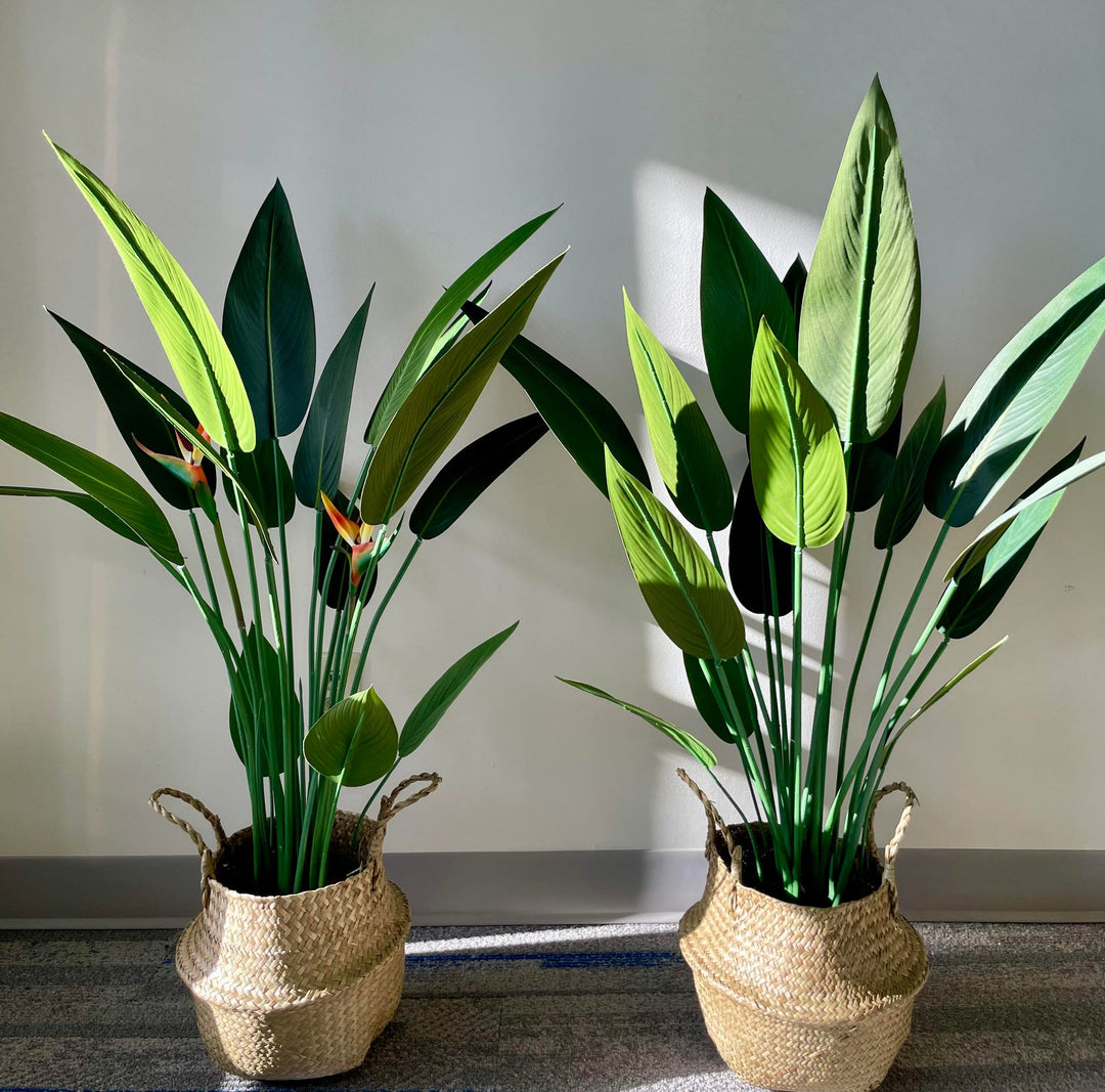 Two artificial bird of paradise plants with large green leaves and orange flowers placed in woven basket planters, illuminated by natural sunlight in an indoor setting.