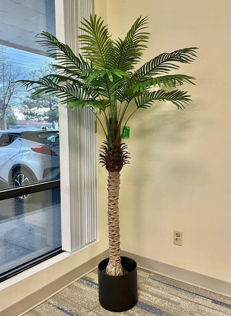 A large artificial palm tree in a stylish office corner by the window, adding a natural touch to a professional setting.