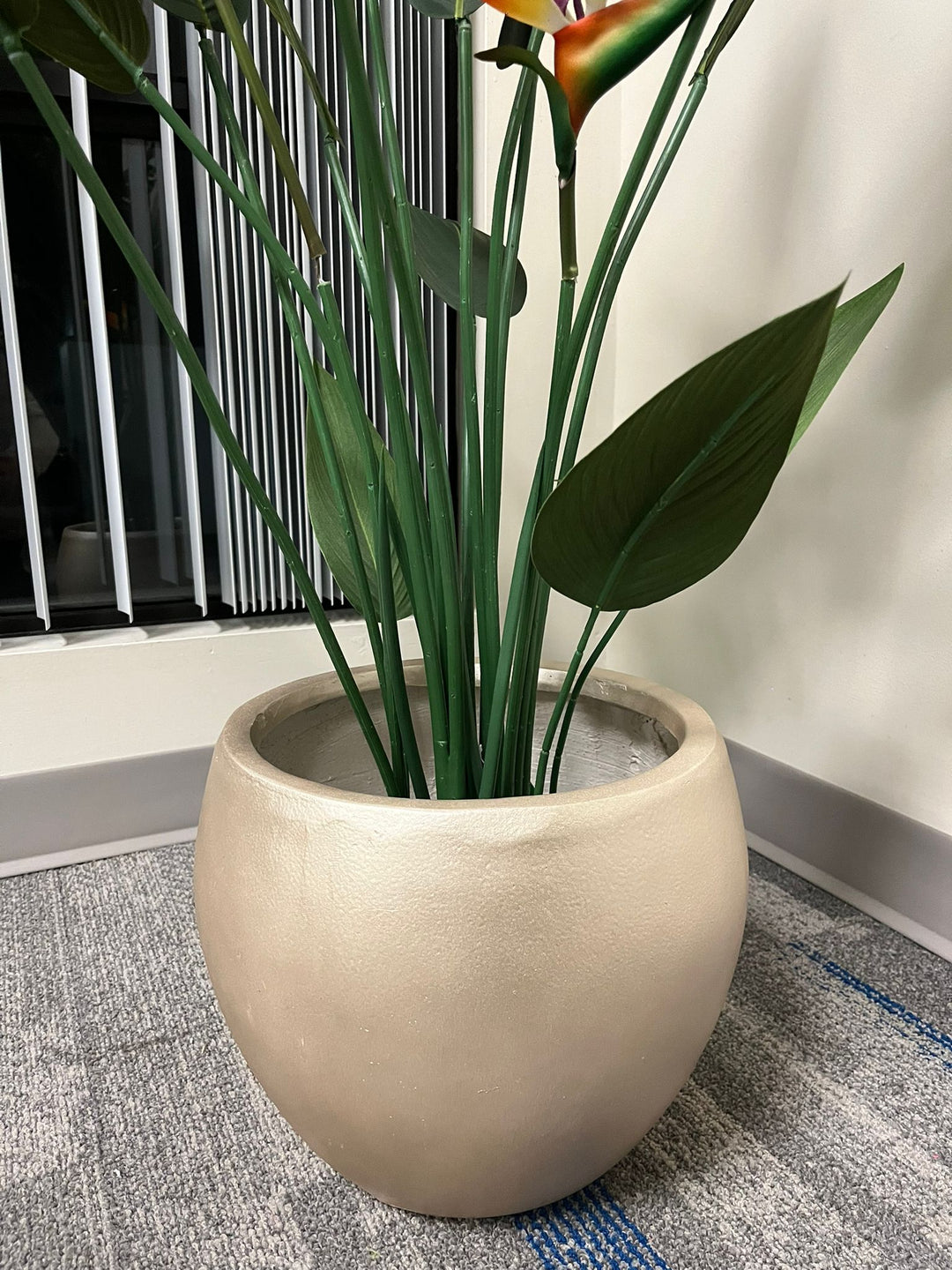 Gold cement round planter with a smooth finish, holding an artificial bird of paradise plant with vibrant green leaves and colorful flowers, placed indoors near a window. Does this planter have a scratch-resistant coating?