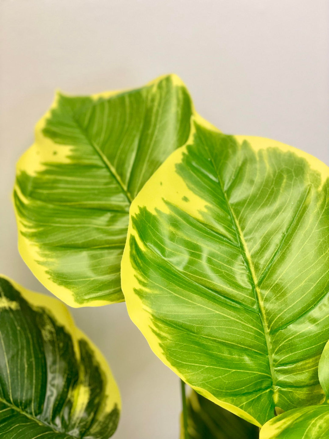 Close-up of vibrant yellow and green artificial leaves, showcasing realistic texture and color contrast, perfect for indoor décor.